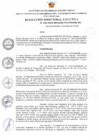 Vista preliminar de documento RDE Nº 163-2022-MIDAGRI-PROVRAEM-DE.pdf