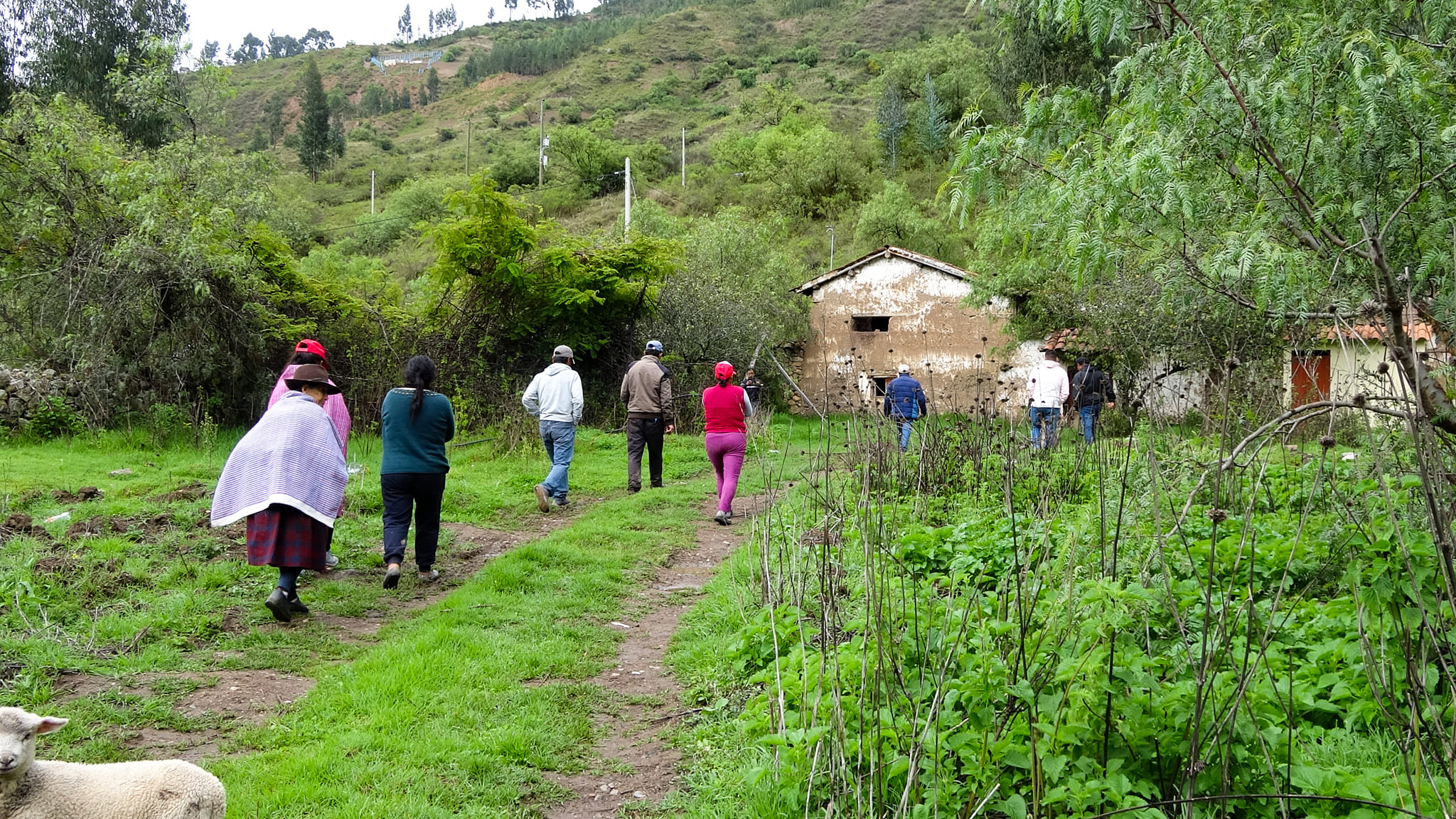 Terrenos de Cruz Blanca, pertenecientes al C.P de Huishín,