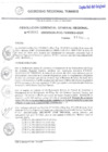 Vista preliminar de documento R.G.G.R. N042-2023GRT-GGR_08Feb2023