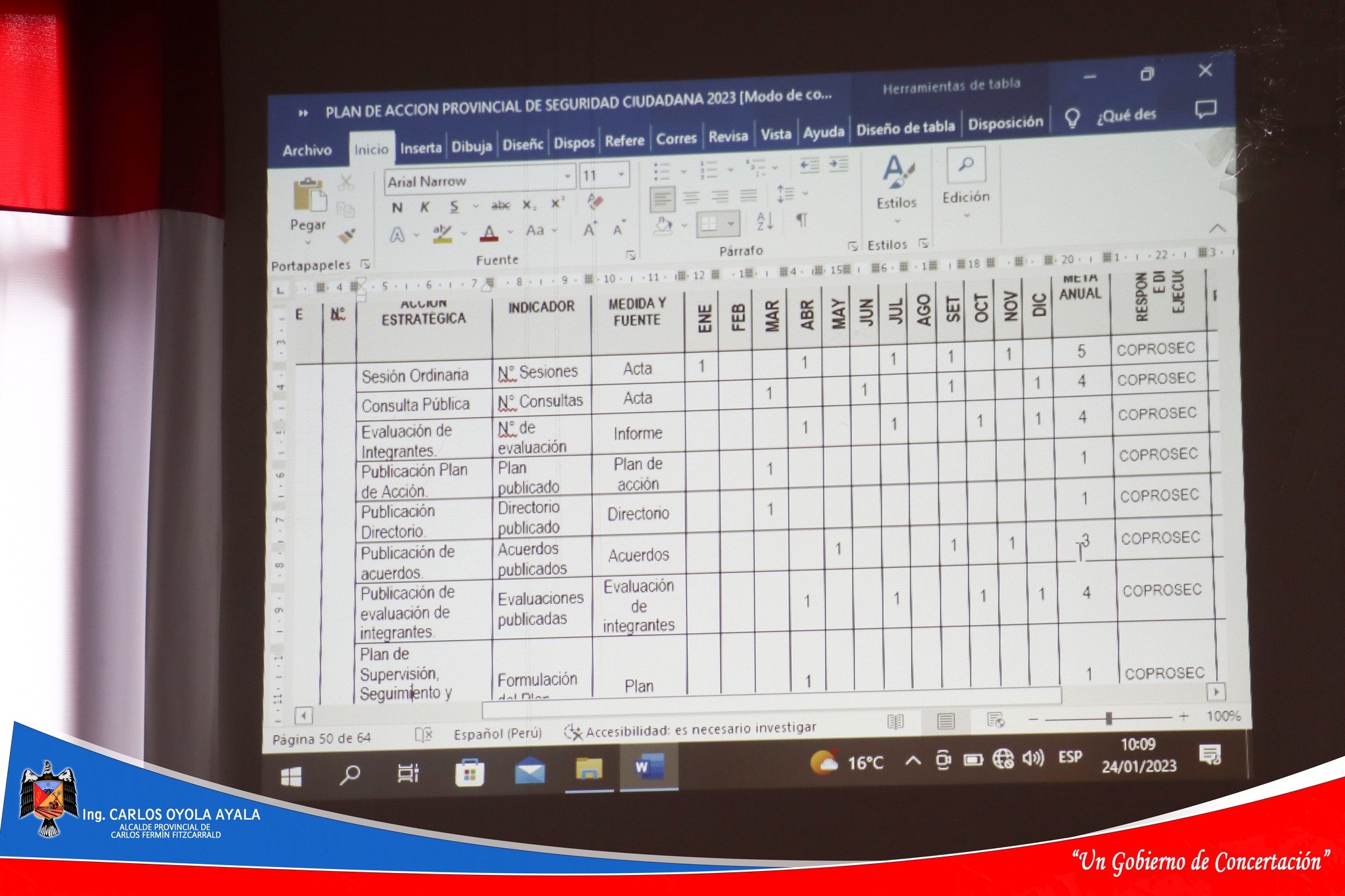 Aprobación del plan Acción Provincial de Seguridad Ciudadana