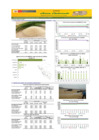 Vista preliminar de documento Boletín de abastecimiento y precio del ARROZ - 06/02/23