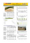 Vista preliminar de documento Boletín de abastecimiento y precio del ARROZ - 08/02/23