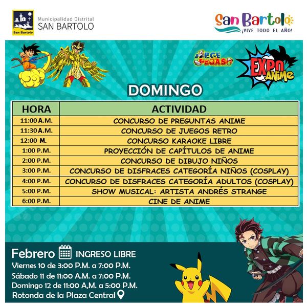 Actividad del dΓa domingo