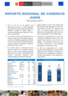 Vista preliminar de documento Reporte de Comercio - Reporte Comercio Regional - RCR - Junín 2017 - Anual 