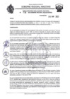 Vista preliminar de documento RESOLUCION N°028.pdf