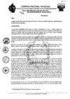 Vista preliminar de documento RESOLUCION N°031.pdf