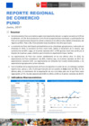 Vista preliminar de documento Reporte de Comercio - Reporte Comercio Regional - RCR - Puno 2017 - I Sem
