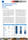Vista preliminar de documento Reporte de Comercio - Reporte Comercio Regional - RCR - Puno 2017 - Anual 