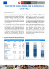 Vista preliminar de documento Reporte de Comercio - Reporte Comercio Regional - RCR - Ucayali 2017 - Anual 