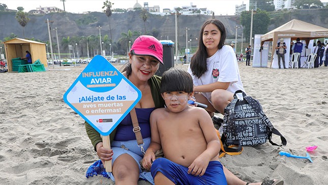 Se recomienda evitar el contacto con aves o mamíferos marinos para prevenir casos de influenza aviar