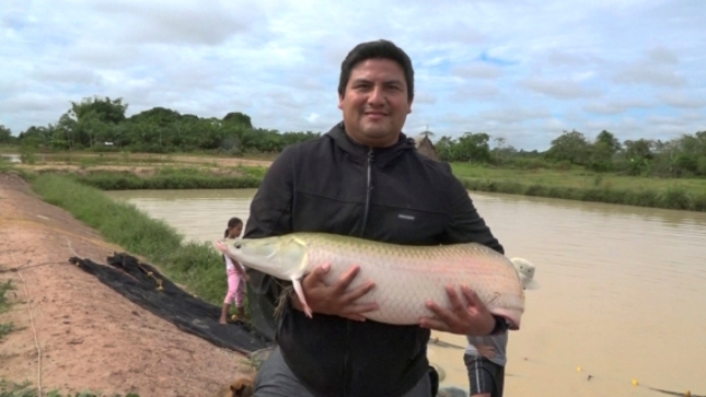 FERIA MI PESCADO