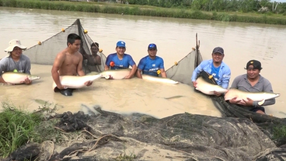 FERIA MI PESCADO