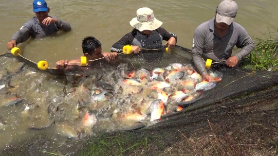 FERIA MI PESCADO