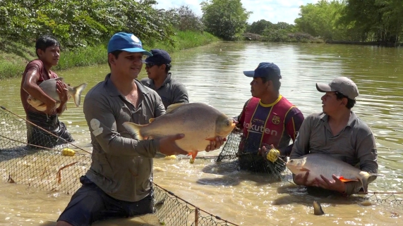 FERIA MI PESCADO