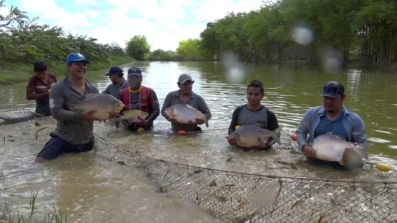 FERIA MI PESCADO