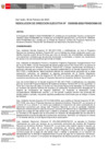 Vista preliminar de documento Resolución de Dirección Ejecutiva