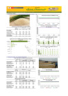 Vista preliminar de documento Boletín de abastecimiento y precio del ARROZ - 09/02/23