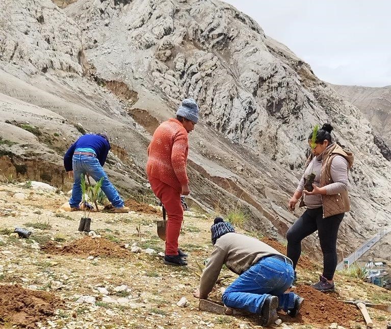 ELECTROCENTRO reverdece la Oroya con jornada de plantación de 1600 árboles