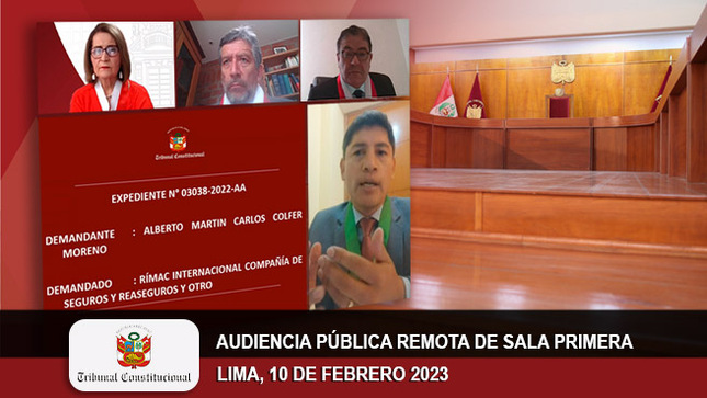 Audiencia pública remota de la Sala Primera del TC.