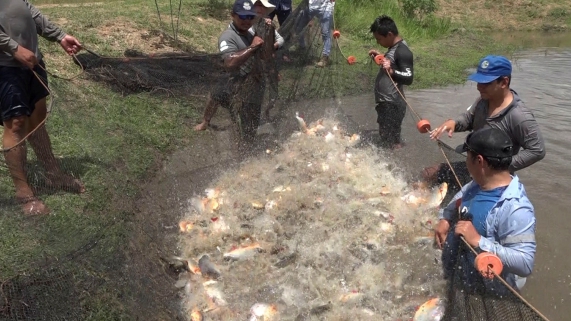 PESCADORES