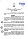 Vista preliminar de documento RD 161