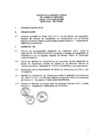 Vista preliminar de documento Sesión N° 907