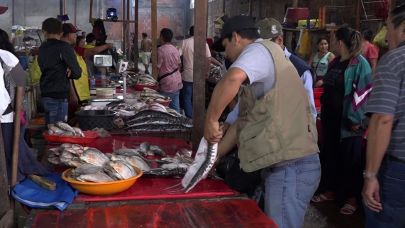 DECOMISAN PESCADO