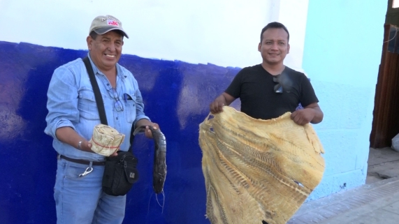 DECOMISAN PESCADO