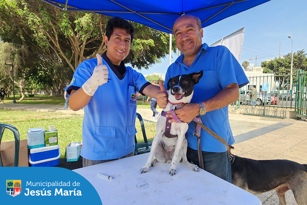 Se realizó la tercera campaña Veterinaria Municipal