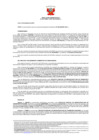 Vista preliminar de documento 781 003-0032051-2019