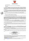 Vista preliminar de documento 782 3117000140-2019