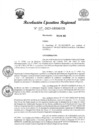 Vista preliminar de documento RER 119