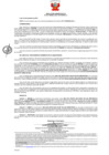 Vista preliminar de documento 787 3117000545-2019