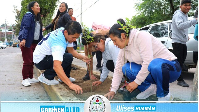 primera jornada de plantación de especies ornamentales