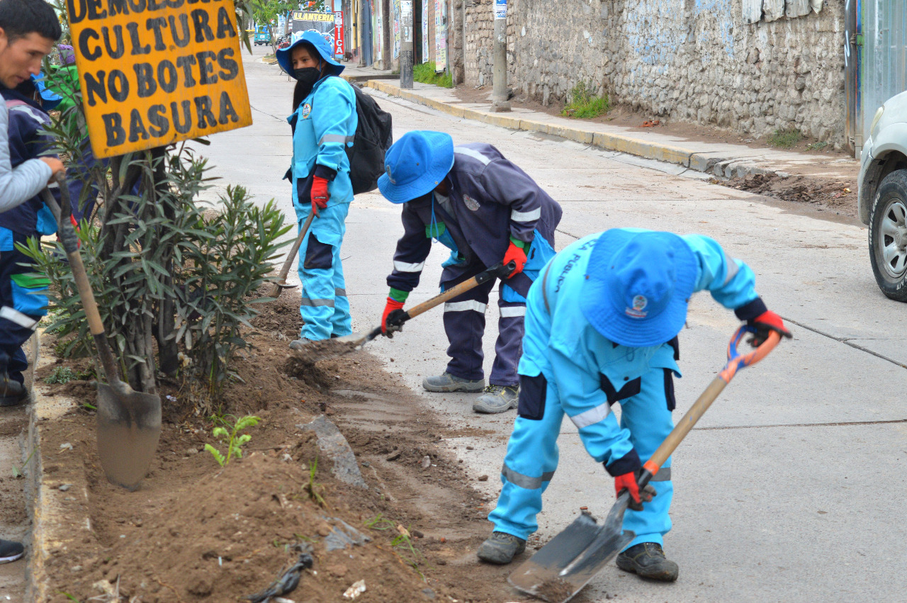 primera jornada de plantación de especies ornamentales