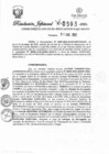 Vista preliminar de documento Resolución Jefatural N° 0593-2022-GRSM-DRE-DO-OO-UE-301-EDUCACION BAJO MAYO