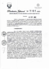 Vista preliminar de documento Resolución Jefatural N° 1101-2022-GRSM-DRE-DO-OO-UE-301-EDUCACION BAJO MAYO