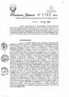 Vista preliminar de documento Resolución Jefatural N° 1183-2022-GRSM-DRE-DO-OO-UE-301-EDUCACION BAJO MAYO