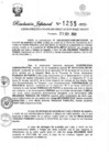 Vista preliminar de documento Resolución Jefatural N° 1255-2022-GRSM-DRE-DO-OO-UE-301-EDUCACION BAJO MAYO