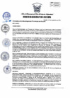 Vista preliminar de documento DM_007_2021.pdf