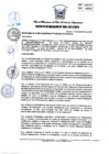 Vista preliminar de documento DM_008_2021.pdf