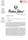 Vista preliminar de documento RJ N° 028 - Responsable de Software.pdf