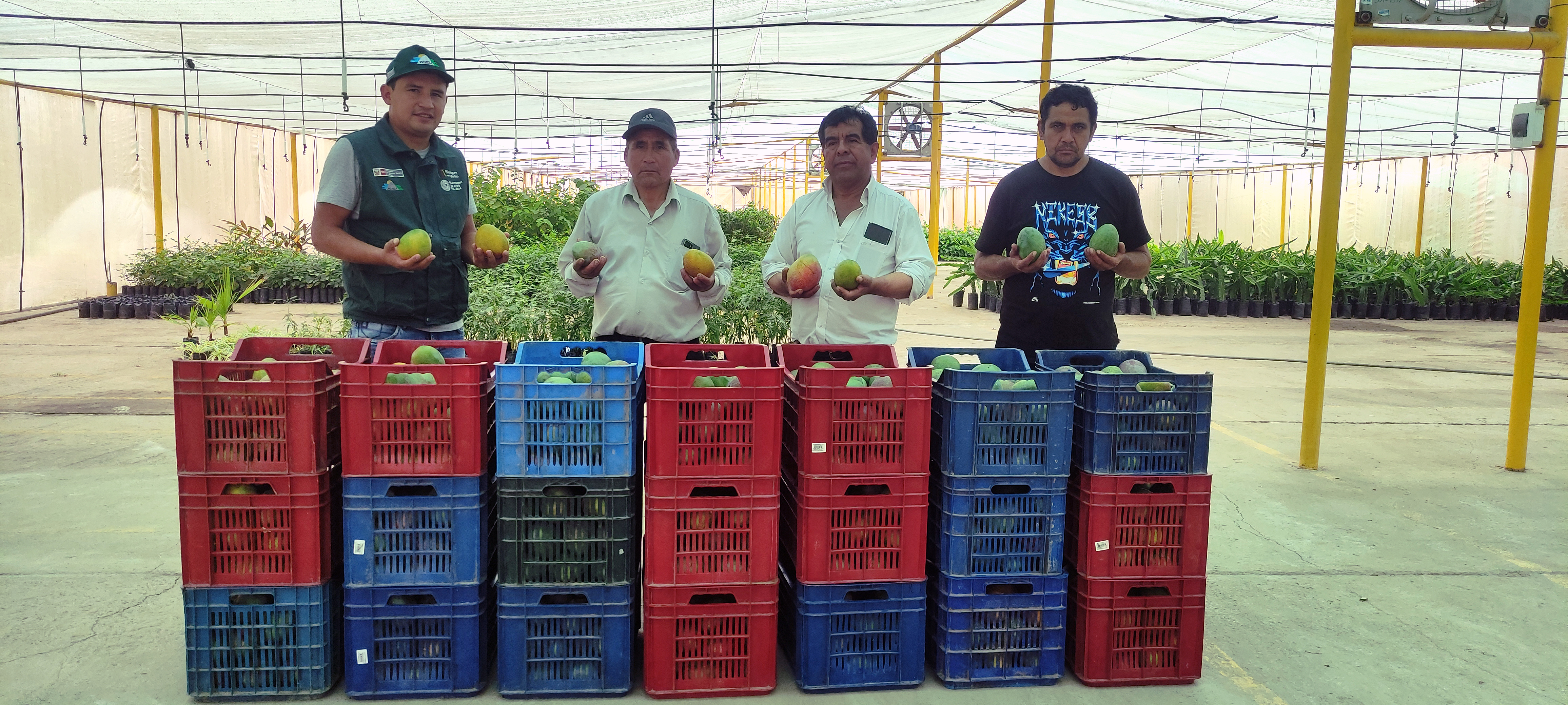 PEJEZA realiza donación de mango y Taya al C.P. Chotén