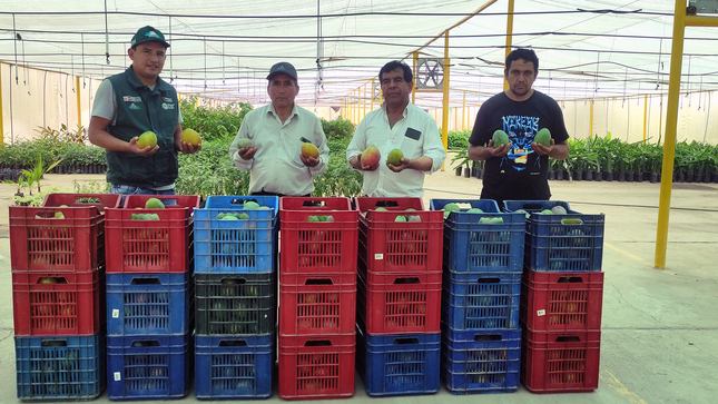 PEJEZA realiza donación de mango y Taya al C.P. Chotén