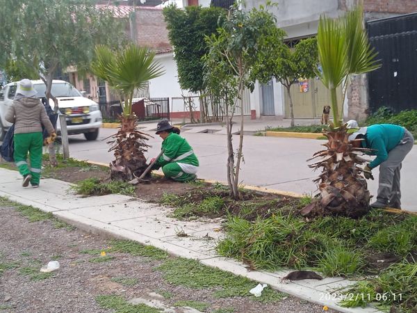 mantenimiento del Grass en Santa Elena