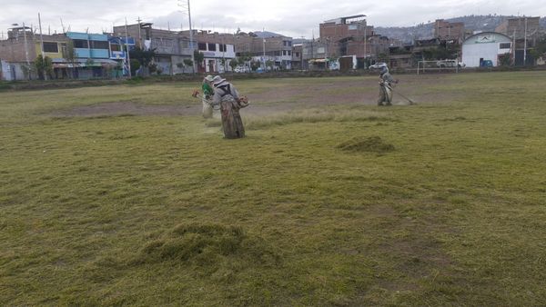 mantenimiento del Grass en Santa Elena