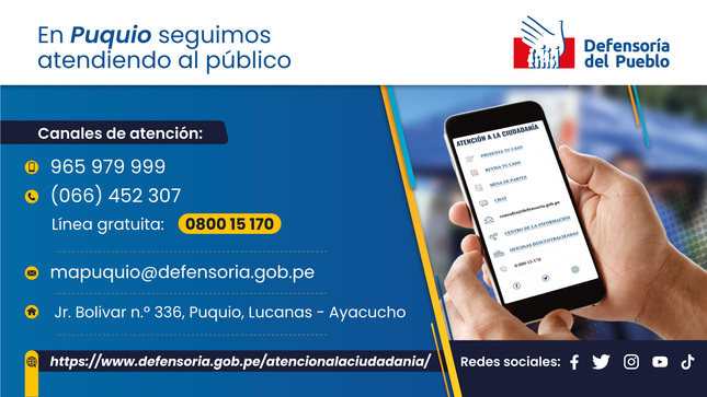 Datos de atención del módulo defensorial de Puquio