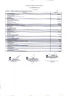 Vista preliminar de documento Estado de Fuentes y Usos de Fondos I Trimestre 2010