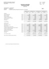 Vista preliminar de documento Estado de Gestión I Semestre 2020