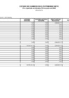 Vista preliminar de documento Estado de Cambios en el Patrimonio Neto I Semestre 2020